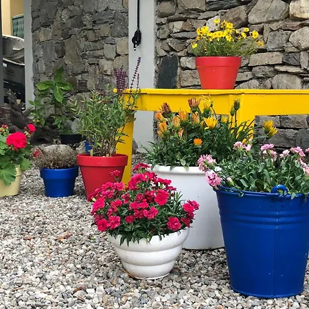 Guest house Casa Della Gioia - Due Balconi